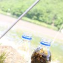 가천교화장실 | 성주 물놀이 대가천 가천교다리 신나게 놀다왔어요!