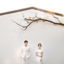 스파지오 이미지