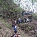 송풍초,용담중 이미지