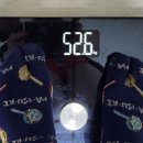 (주)바이오셀 네이버블로그