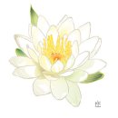 정인관 Daum카페
