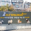 어라운드1142 이미지