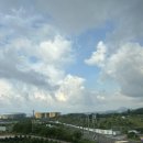 남제주 강병대교회 | 2025 여름끝자락 제주여행-2탄 (제주돌고래, 순례자의교회, 유동룡박물관, 무로이, 저지면옥, 낙천의자...