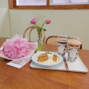 온정동물약국 | 송파역 헬리오시티 카페빌리다 렌탈스튜디오 되는 디저트맛집 후기