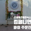 컴페니언바이주문진 | [강릉]주문진 바다 5분, 스타벅스 5분｜강아지와 오롯이 쉬는 독채숙소 '컴페니언 바이 주문진'