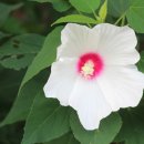 부용쉼터 이미지