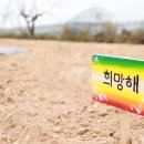 대서농장 이미지