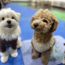 초롱유치원 이미지