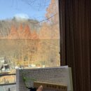 밤나무집 | [대전 숙소 추천] 메타세쿼이아 숲속 하룻밤 🌲 장태산 자연휴양림 숲속의집 '밤나무집' 숙박 후기