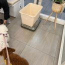 소원동물병원 이미지