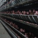 지현농장 이미지