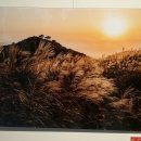 과천시민회관 이미지