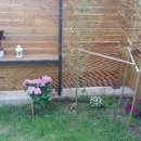 트윈타운 이미지