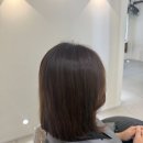 테이살롱 | [수원] 성균관대역 근처 미용실 후기 - 테이 살롱