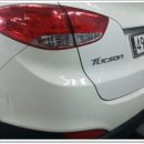 덴트렉스 이미지