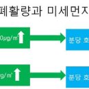 72차 수야라 폭파이유~((재등록)-미세먼지의 인체에 끼치는 영향...) 이미지