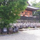 나의살던고향민박 이미지