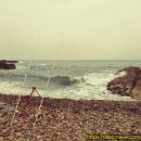 DH축산 | #제품 리뷰_48W_집어등_대한 전기_ DH-N48W 어두운 바닷가에서 실사용 후기