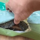 서울송례초등학교 이미지