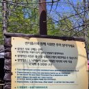 [용인 데이트] 와이프와 함께한 에버랜드 오픈런 대성공 후기!