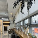 중화솔로몬 | 은계지구 머리 잘하는 곳 추천! 은계지구 미용실 플랜에이치 뿌리볼륨매직 후기