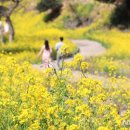 색달동-16 이미지