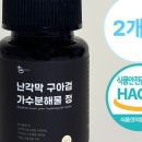 웰투데이