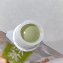 와푸드 | 일본 기념품, 화장품 / 와푸드 메이드 - 술 지게미 (막걸리)팩, 말차 팩 내돈내산 솔직후기