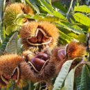 윤기농장 이미지