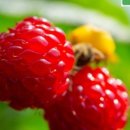 지석농장 이미지