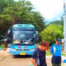 백운산 솔밭 앞 이미지