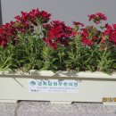 경기대한의원 이미지