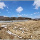 양평공인중개사사무소 이미지