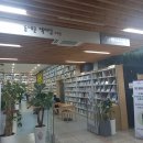 동대문구청 | 동대문구청 속 동대문책마당도서관 이용 후기