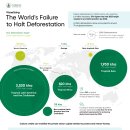 삼림벌채를 막지 못한 세계의 실패를 시각화하기 이미지
