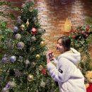유한회사 서연 | 연말까지