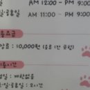 캣츠하우스 네이버블로그