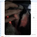 #(샵)코인노래연습장 이미지