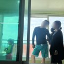 우리목장(1) 이미지