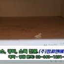 GS25용강점 이미지