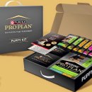 퍼피플랜 이미지