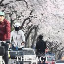 토정로30 더팩트