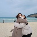 [제주도/가족여행] 제주도 2월 가족여행 3박 4일 코스 추천