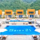 세인트21 네이버블로그