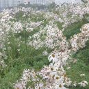 서정의료기 이미지