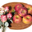 의성군농업기술센터 | 맛있는 사과 선물세트 추천 의성 춘산사과 직송장터 부사사과 5kg 후기