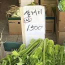 아센라이프센터 | 3월 보고서