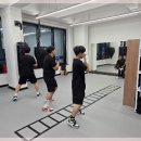 팀플복싱