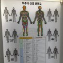 KSS 근력강화 지압원 이미지