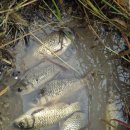 경기도 양주 성묘~ 이미지